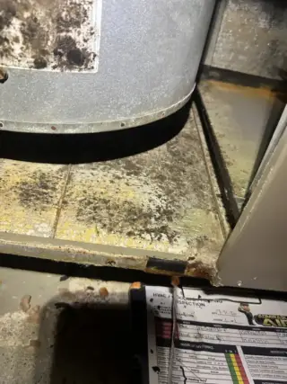 Mold growing on the coil.